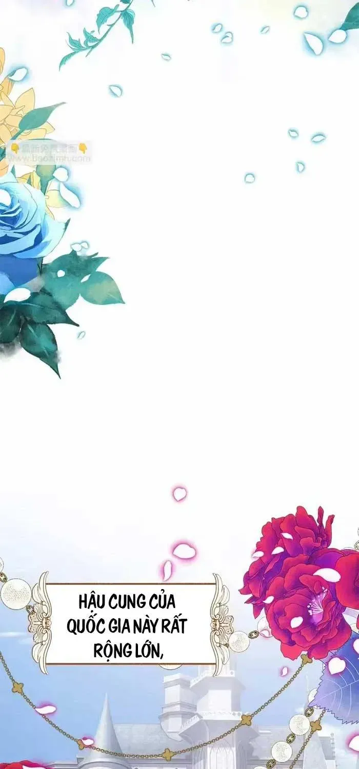 Bệ Hạ, Xin Hãy Ghét Ta Chapter 3 - Trang 8
