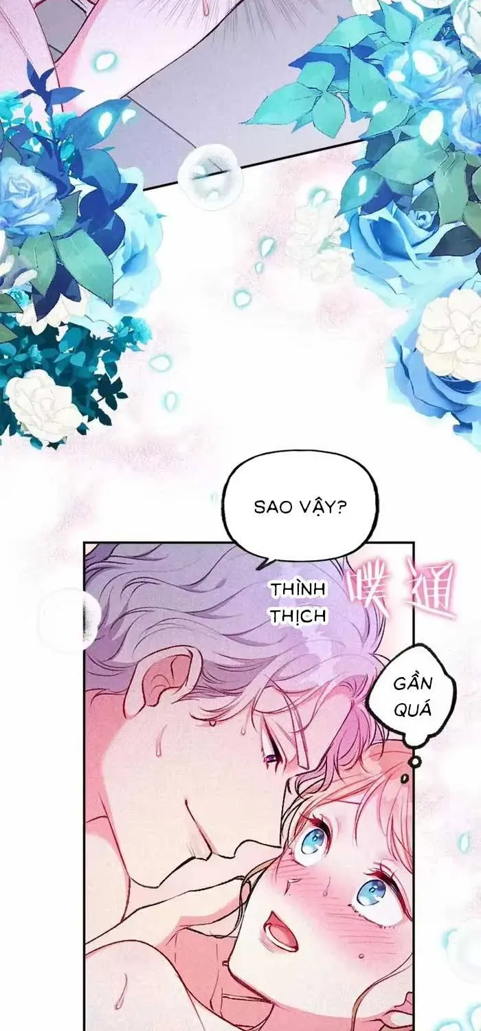 Bệ Hạ, Xin Hãy Ghét Ta Chapter 4 - Trang 4