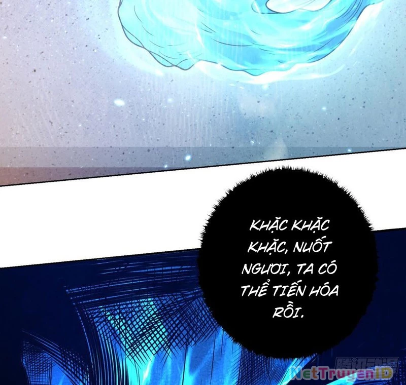 Bệnh Viện Chư Thàn Của Ta Chapter 1 - Trang 13