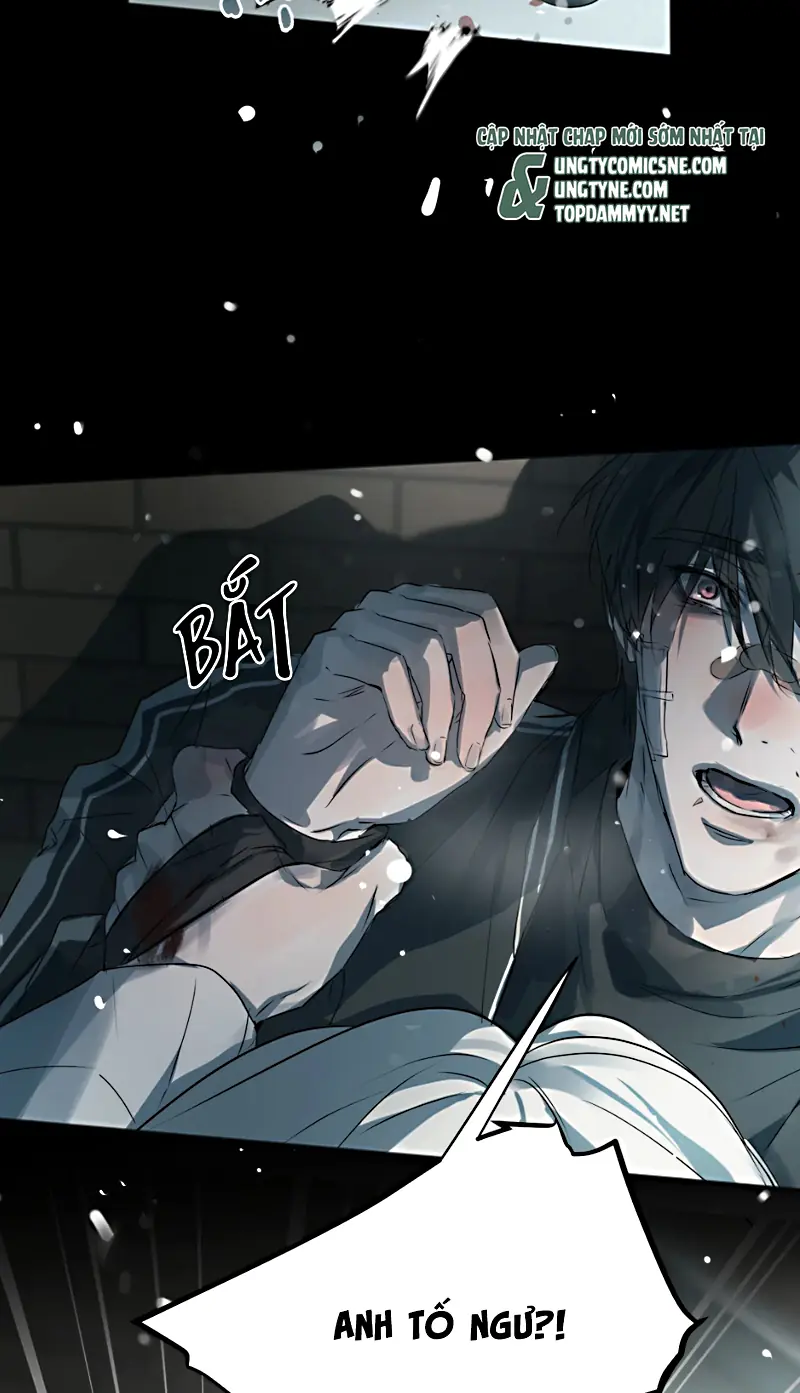Bị Chó Điên Phát Hiện Tôi Là Đồng Loại Chapter 11 - Trang 15