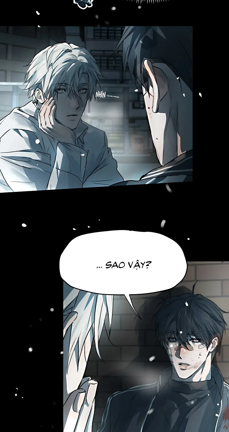 Bị Chó Điên Phát Hiện Tôi Là Đồng Loại Chapter 11 - Trang 30