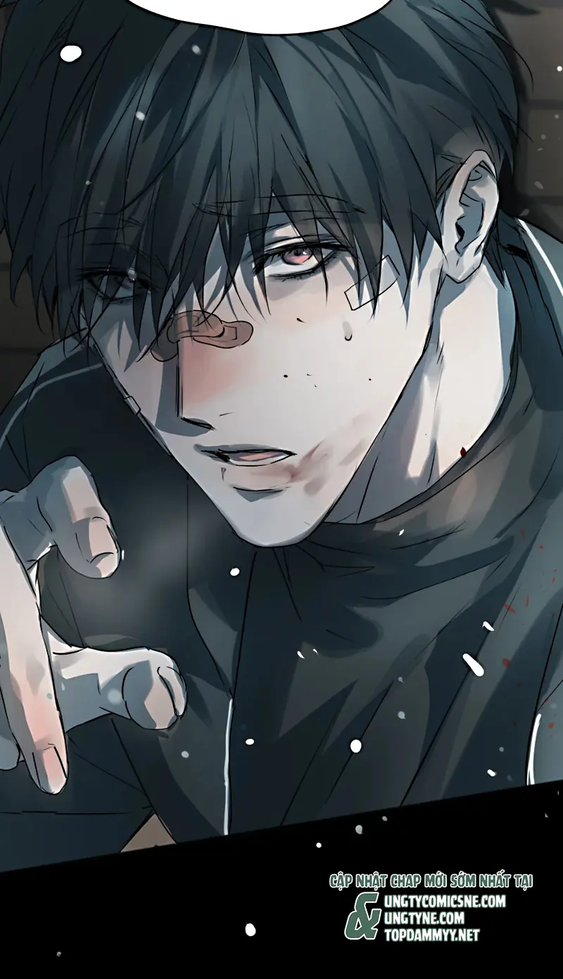 Bị Chó Điên Phát Hiện Tôi Là Đồng Loại Chapter 11 - Trang 9