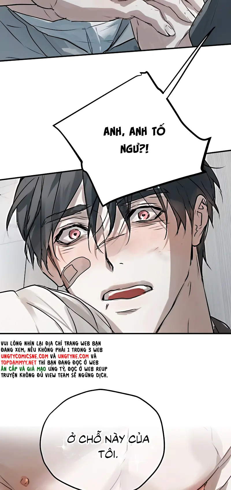 Bị Chó Điên Phát Hiện Tôi Là Đồng Loại Chapter 14 - Trang 39