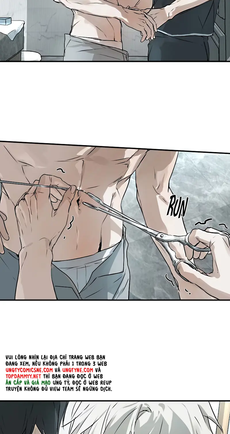 Bị Chó Điên Phát Hiện Tôi Là Đồng Loại Chapter 15 - Trang 5