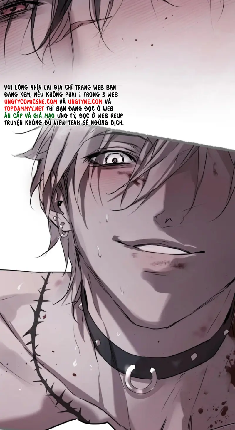 Bị Chó Điên Phát Hiện Tôi Là Đồng Loại Chapter 16 - Trang 14