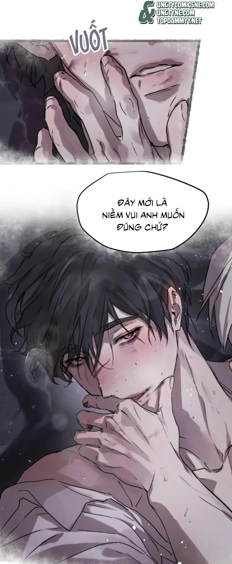 Bị Chó Điên Phát Hiện Tôi Là Đồng Loại Chapter 16 - Trang 8