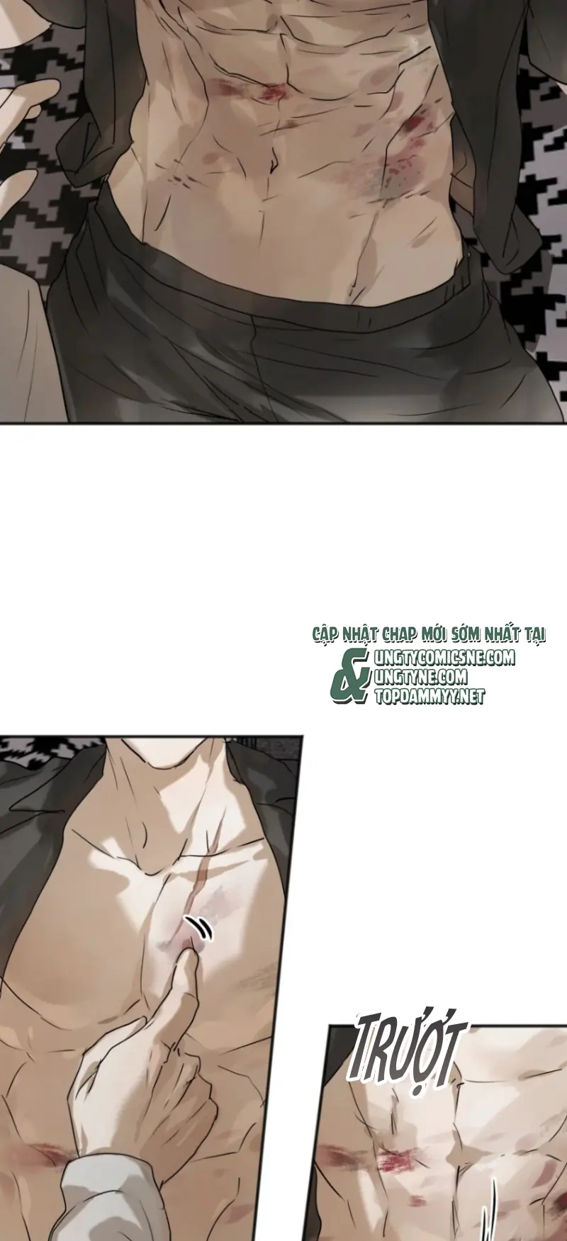 Bị Chó Điên Phát Hiện Tôi Là Đồng Loại Chapter 18 - Trang 8