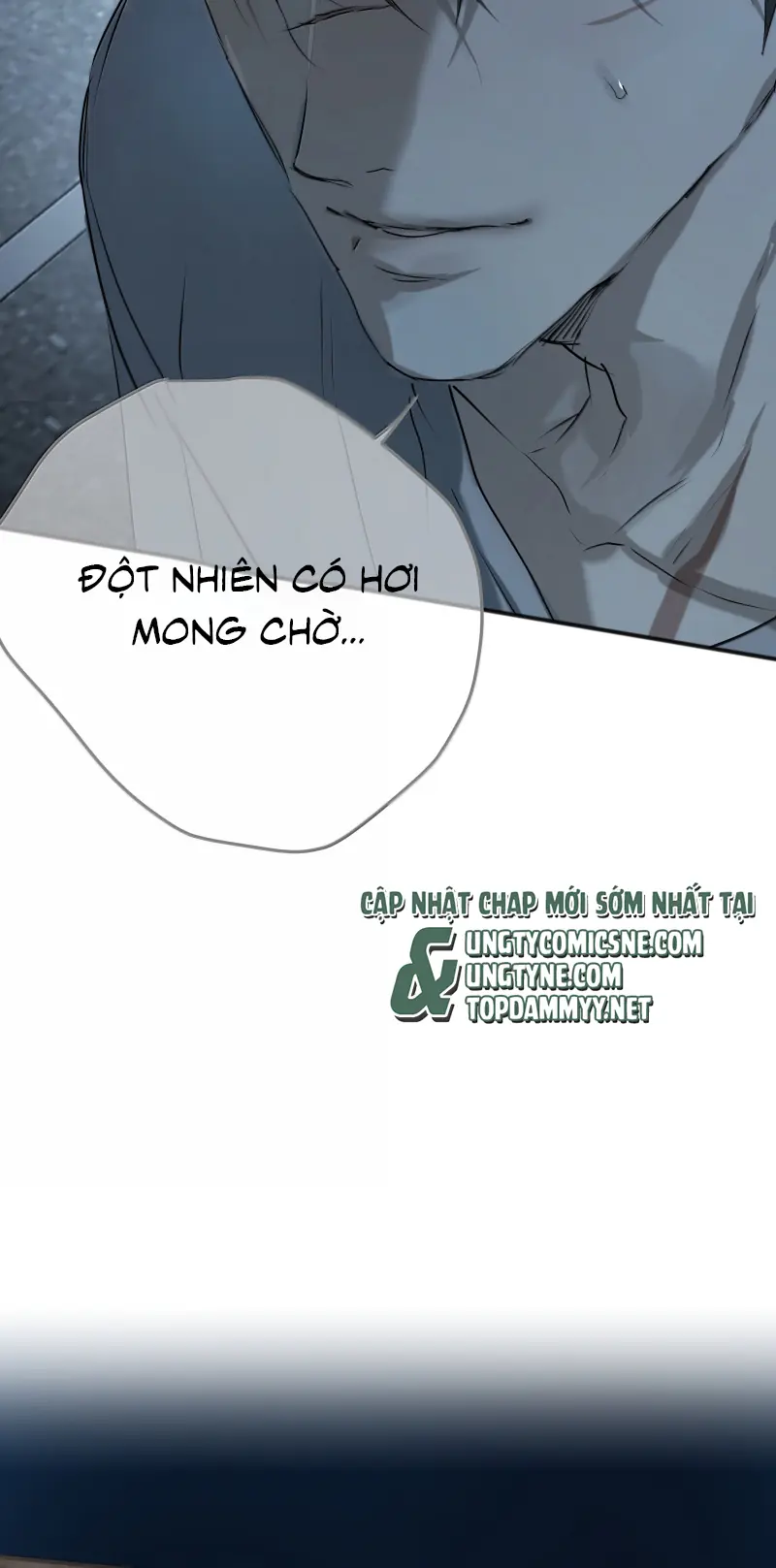 Bị Chó Điên Phát Hiện Tôi Là Đồng Loại Chapter 24 - Trang 8