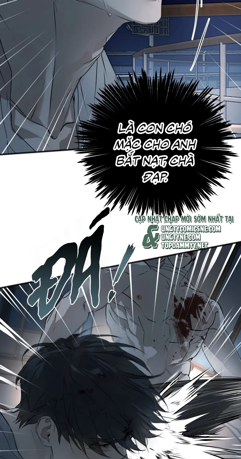 Bị Chó Điên Phát Hiện Tôi Là Đồng Loại Chapter 25 - Trang 14
