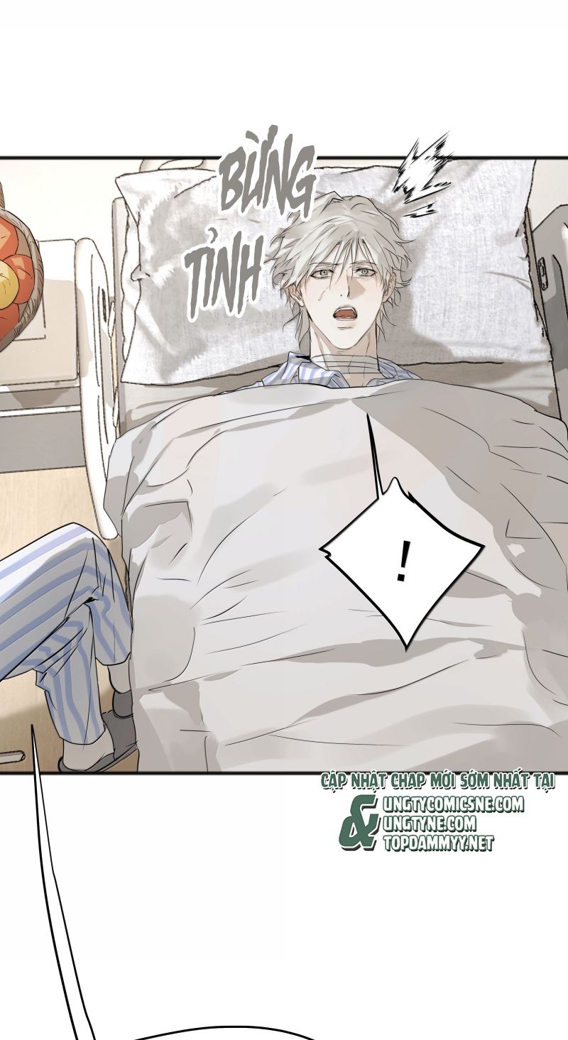 Bị Chó Điên Phát Hiện Tôi Là Đồng Loại Chapter 26 - Trang 5