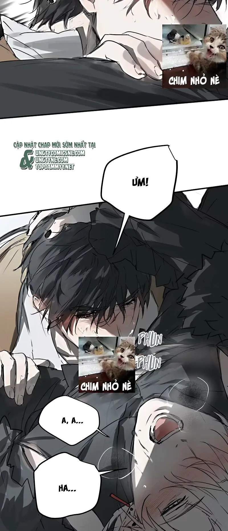 Bị Chó Điên Phát Hiện Tôi Là Đồng Loại Chapter 7 - Trang 49