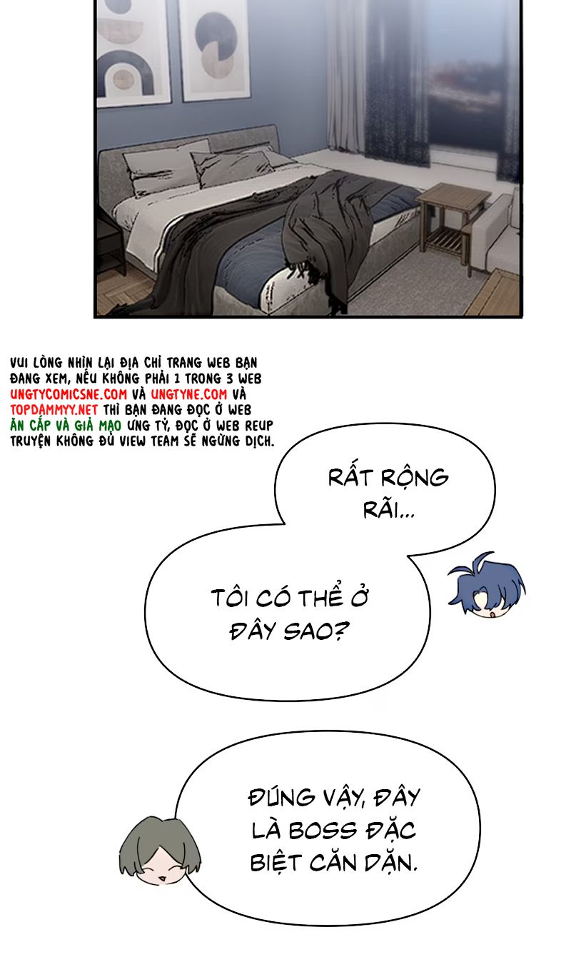 BỊ ĐÀN ANH TRONG BĂNG XÃ HỘI ĐEN UY HIẾP RỒI Chapter 22 - Trang 15