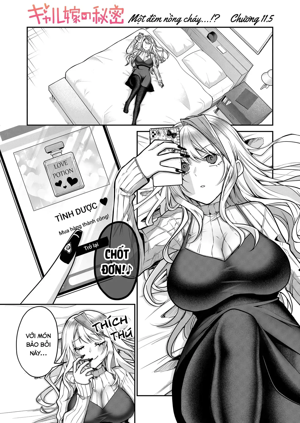 Bí Mật Của Nàng Vợ Gal Chapter 11.5 - Trang 3