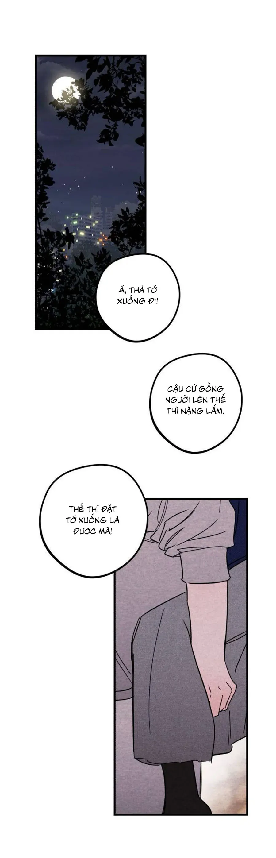 Bí Mật Của Tiền Bối Hoàn Hảo Chapter 15 - Trang 3