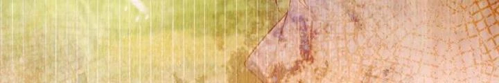 Bỉ nhân độc tìm đường chết Chapter 165 - Trang 9