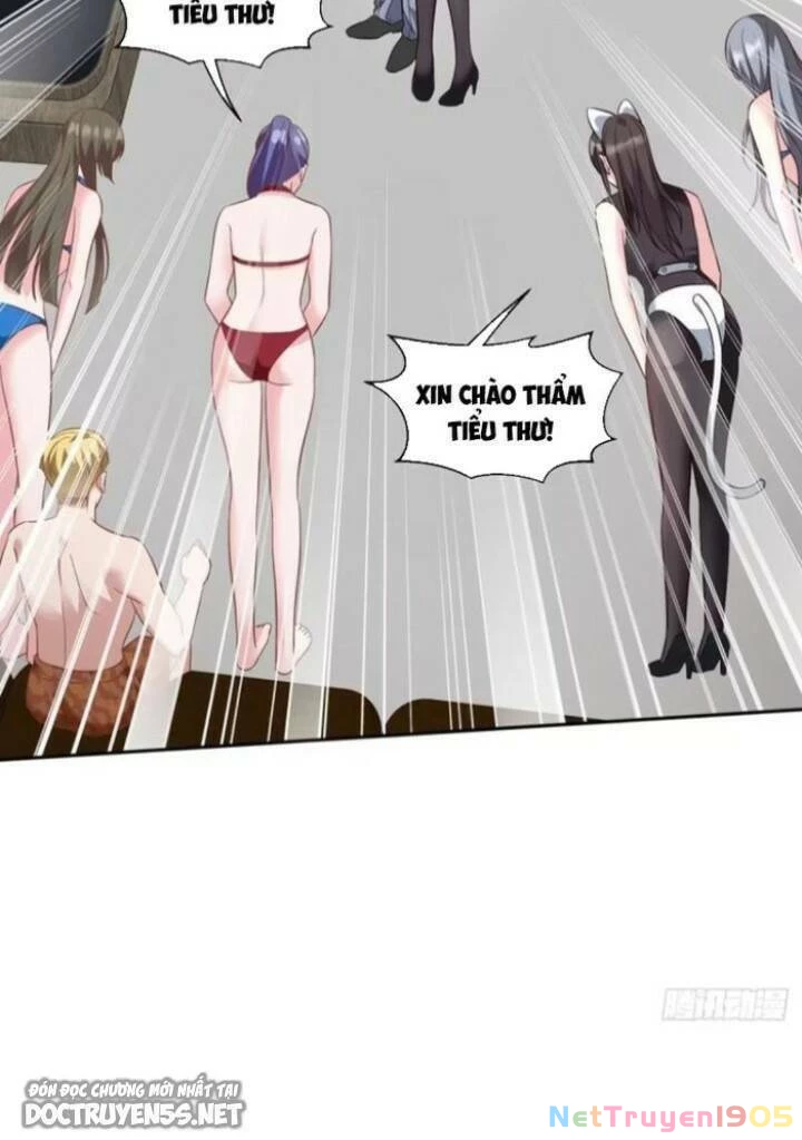 Bỏ Làm Simp Chúa, Ta Có Trong Tay Cả Tỉ Thần Hào! Chapter 202 - Trang 5