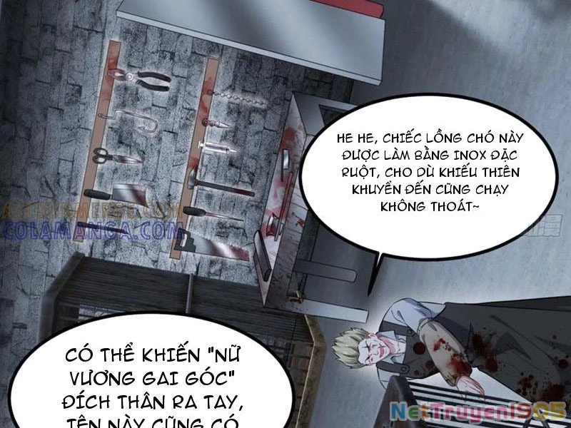 Bỏ Làm Simp Chúa, Ta Có Trong Tay Cả Tỉ Thần Hào! Chapter 228 - Trang 17