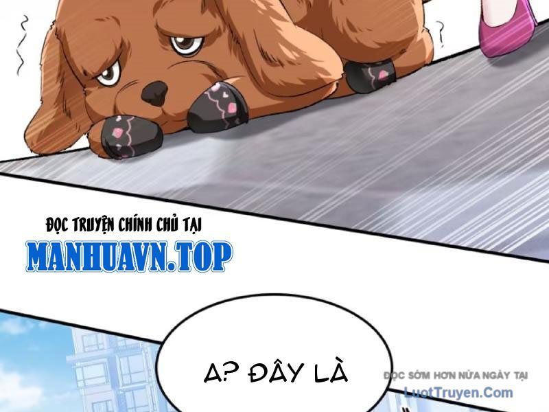 Bỏ Làm Simp Chúa, Ta Có Trong Tay Cả Tỉ Thần Hào! Chapter 254 - Trang 11