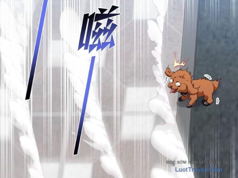 Bỏ Làm Simp Chúa, Ta Có Trong Tay Cả Tỉ Thần Hào! Chapter 254 - Trang 6