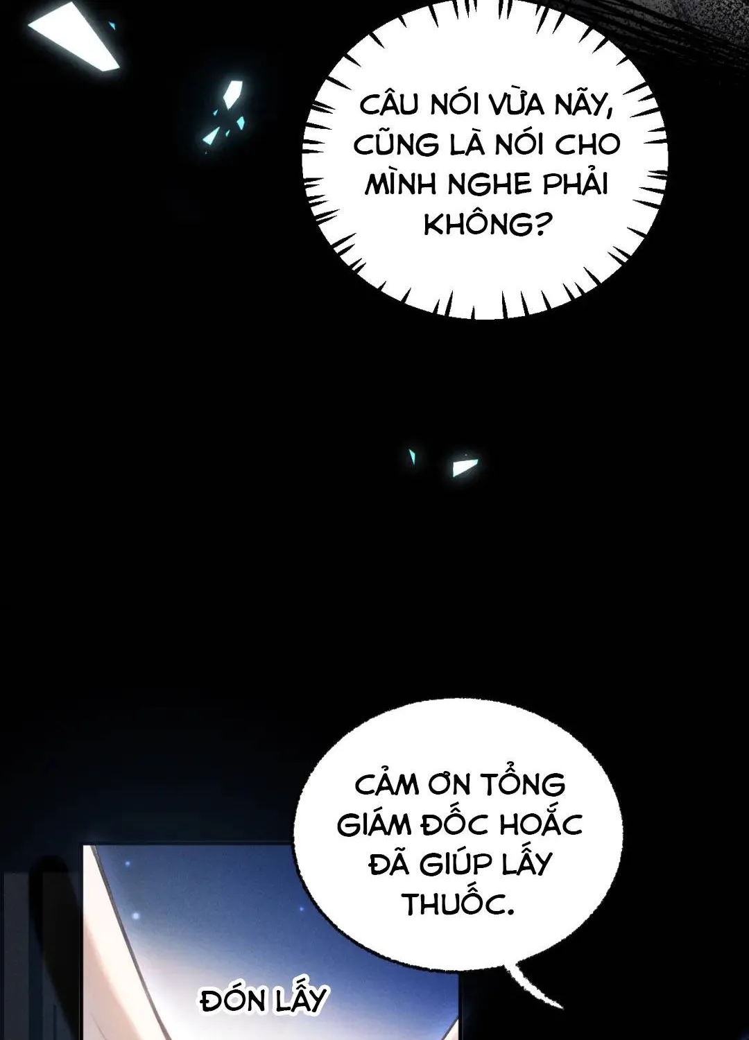 Bỏ Trốn Ba Năm, Người Yêu Cũ Lại Là Cấp Trên Của Tôi Chapter 5 - Trang 11