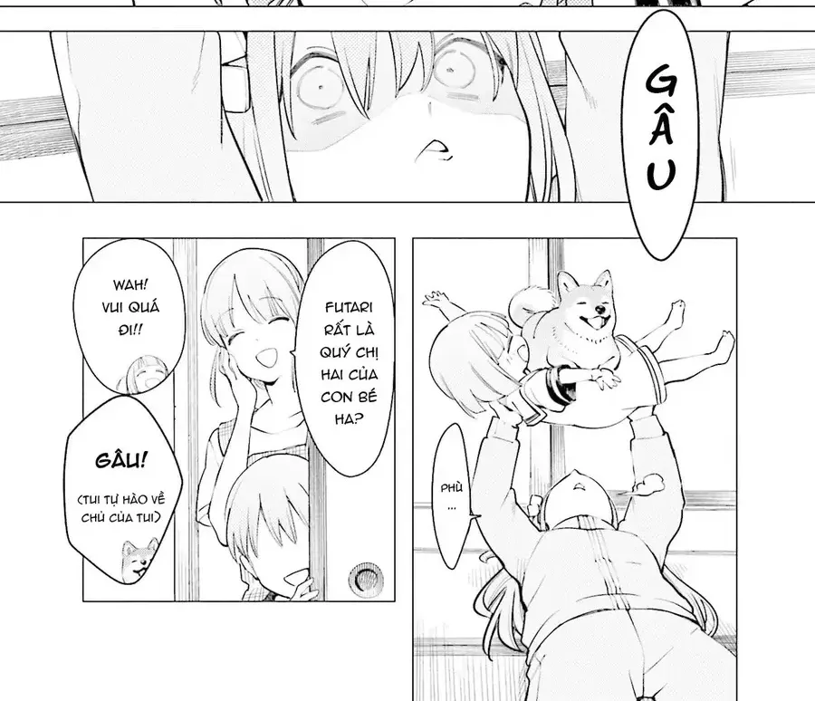Bocchi The Rock! Anthology Comic Chapter 3 - Trang 3