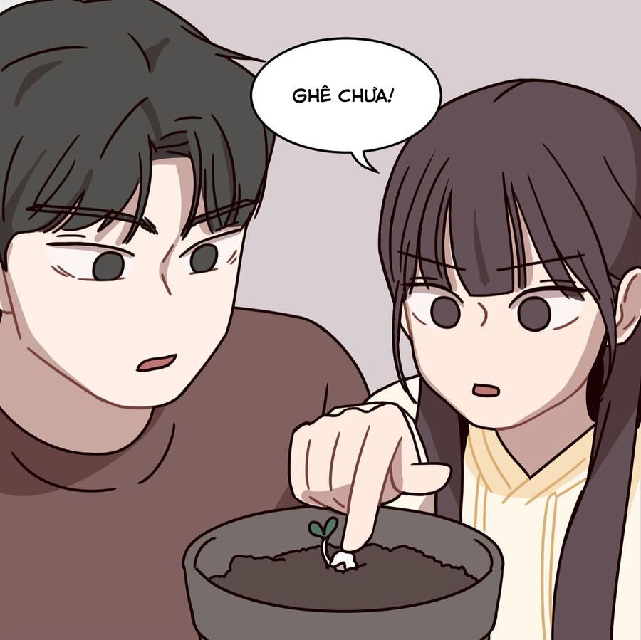 Bựa Cả Đôi Chapter 4 - Trang 7