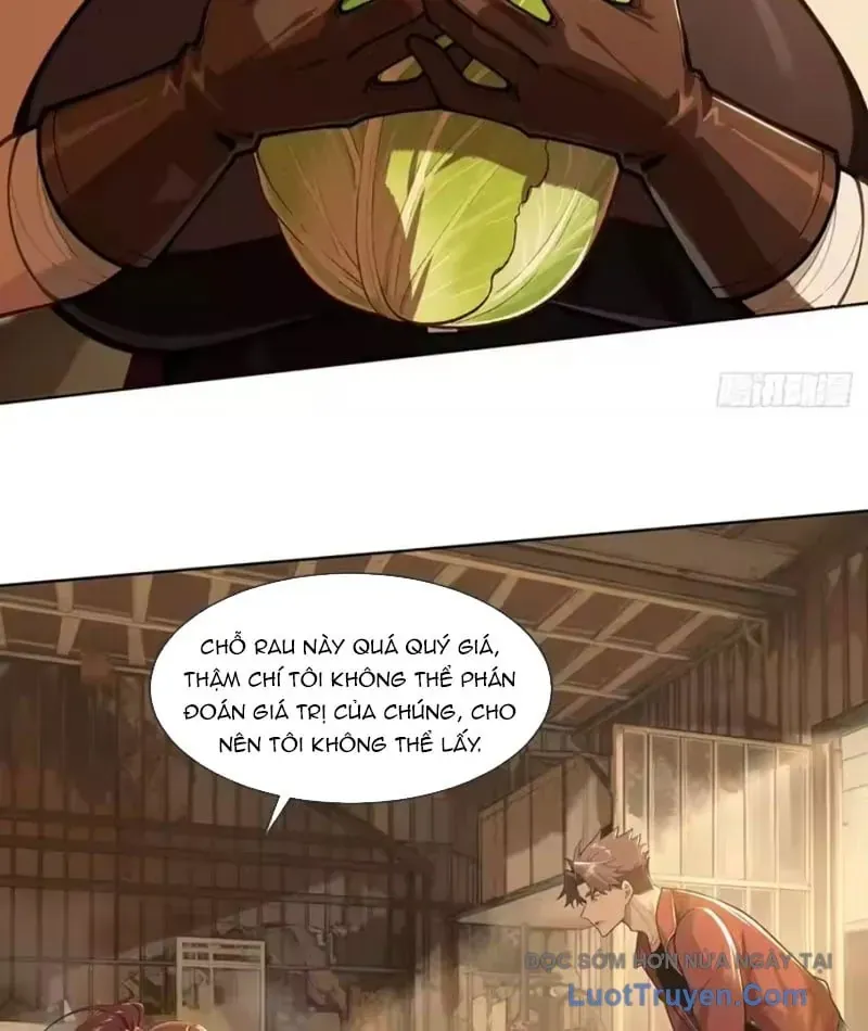 Buôn Bán Thời Tận Thế: Ta Dùng Que Cay Đổi Lấy Vàng Chapter 9 - Trang 11