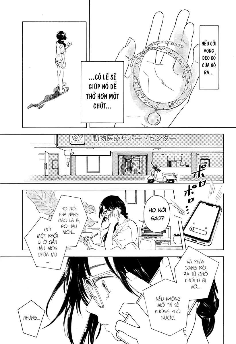 By Your Side: Where Happiness Lives! Chapter 1 - Trang 12