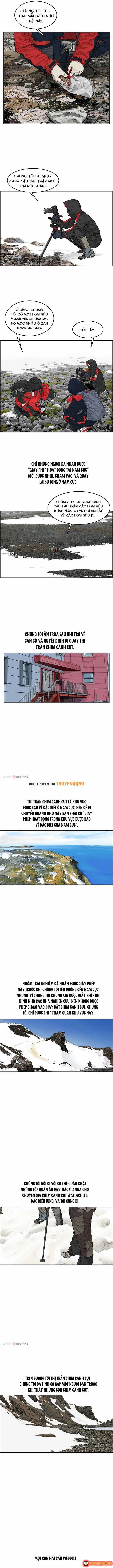 Cá Con (Vảy Cá) Chapter 30 - Trang 7