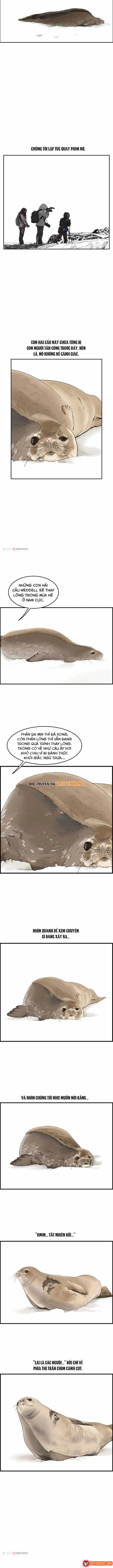 Cá Con (Vảy Cá) Chapter 30 - Trang 8
