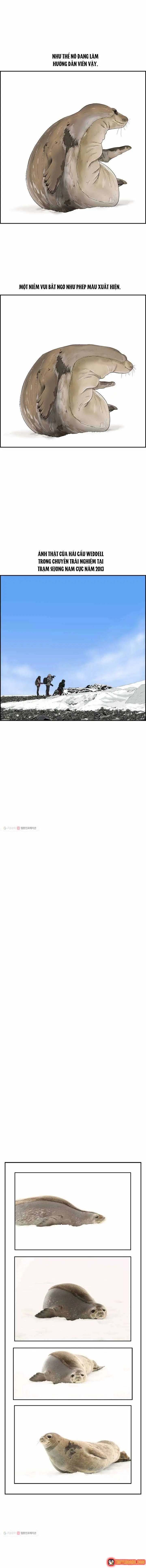Cá Con (Vảy Cá) Chapter 30 - Trang 9