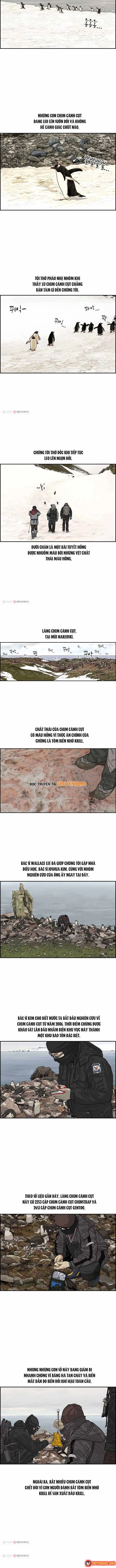 Cá Con (Vảy Cá) Chapter 31 - Trang 5