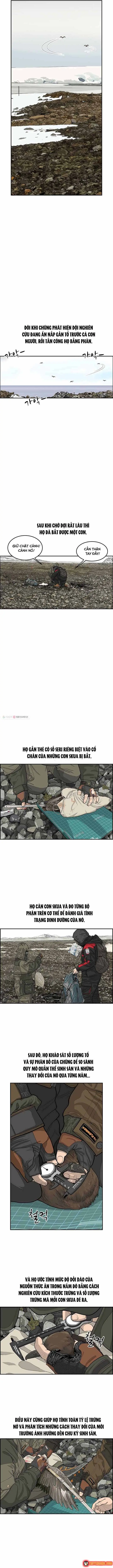 Cá Con (Vảy Cá) Chapter 33 - Trang 4