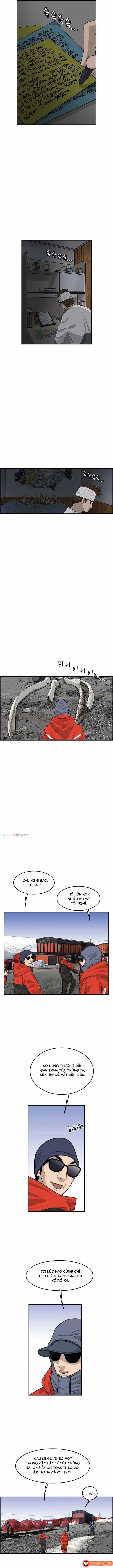 Cá Con (Vảy Cá) Chapter 48 - Trang 4