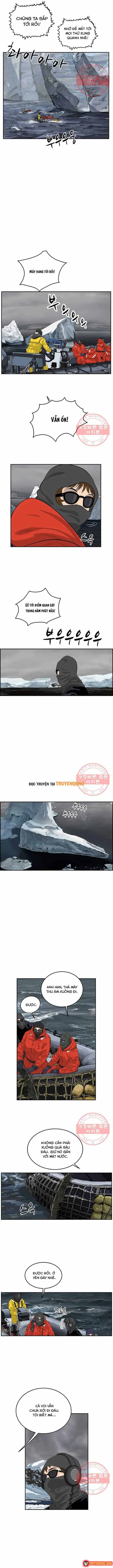 Cá Con (Vảy Cá) Chapter 85 - Trang 5