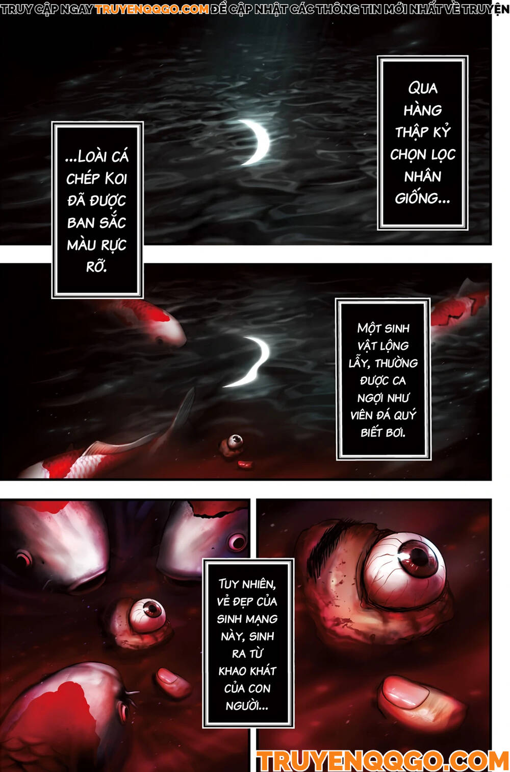 Cá Koi Nishiki Chapter 1 - Trang 2