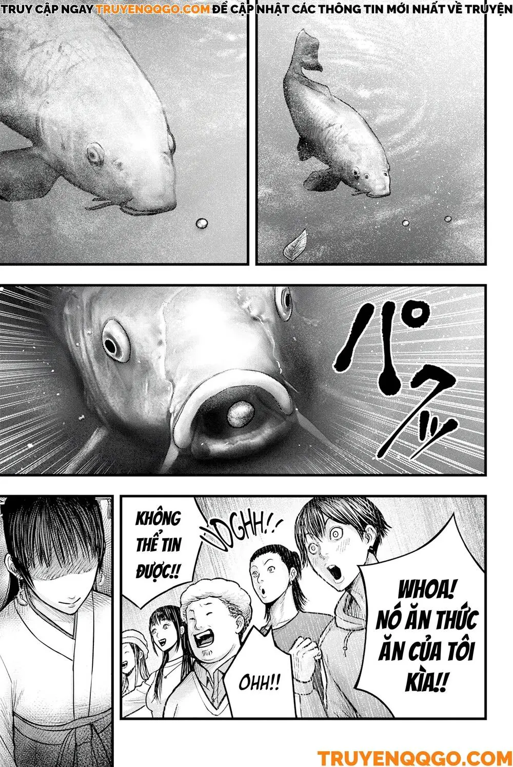 Cá Koi Nishiki Chapter 1 - Trang 32