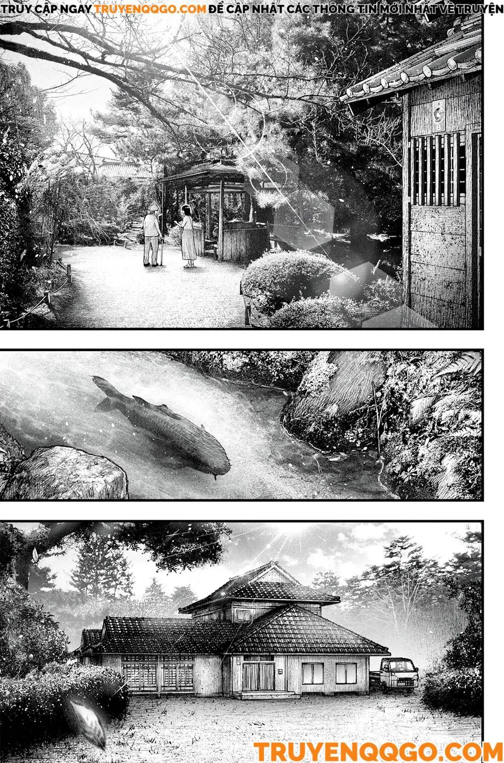 Cá Koi Nishiki Chapter 1 - Trang 4