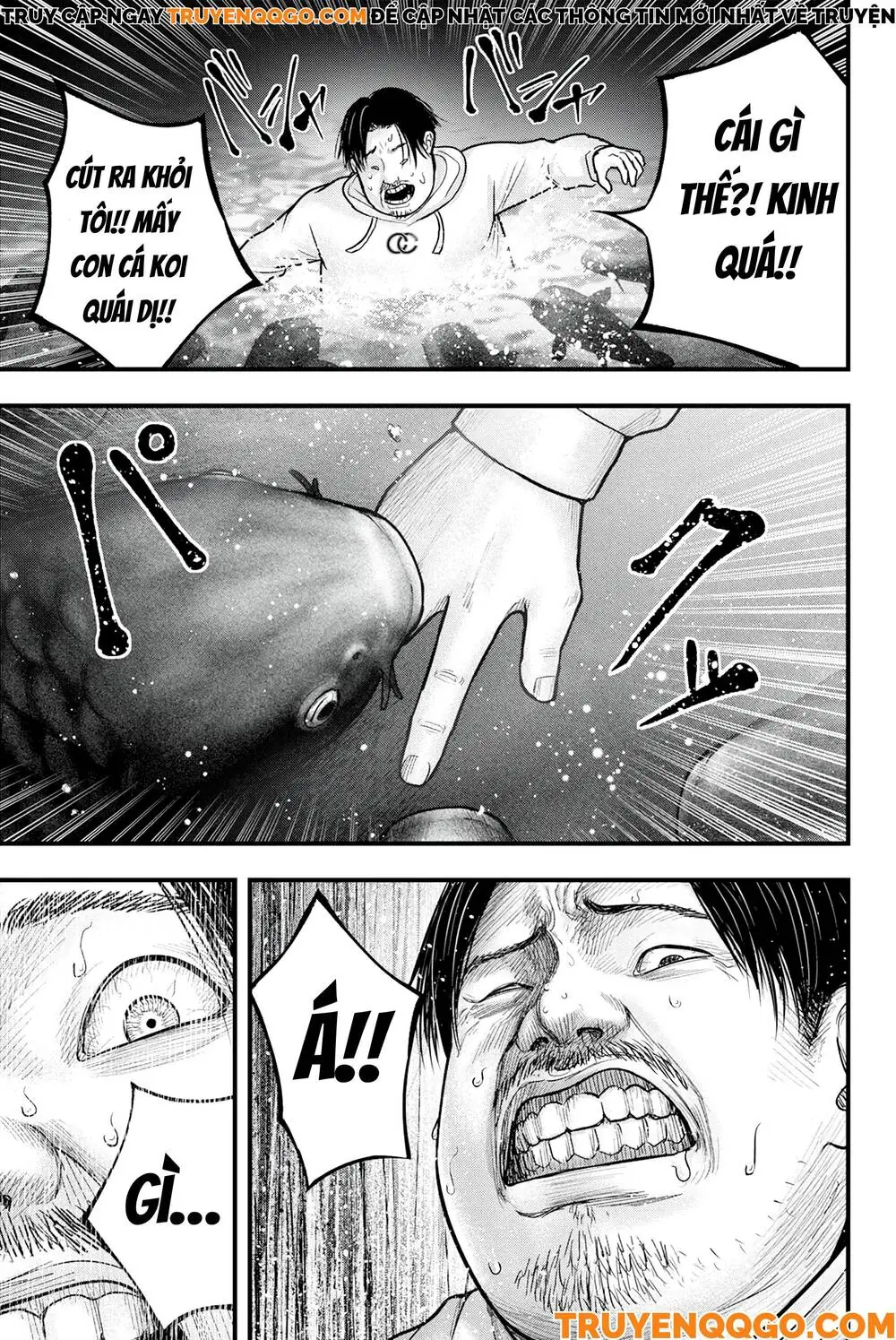 Cá Koi Nishiki Chapter 1 - Trang 42