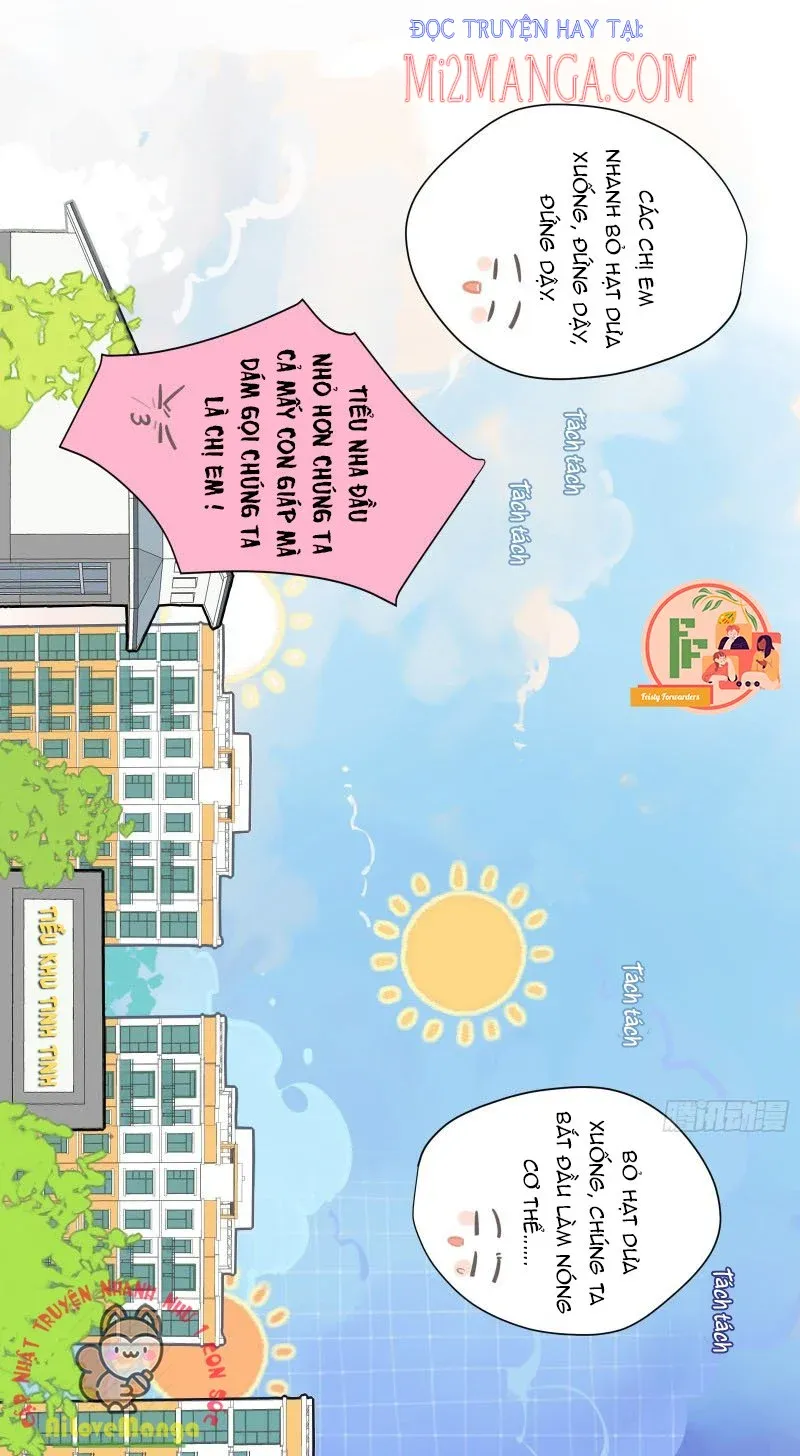 Cá Muối Của Tôi Xuất Đạo Rồi Chapter 8 - Trang 9