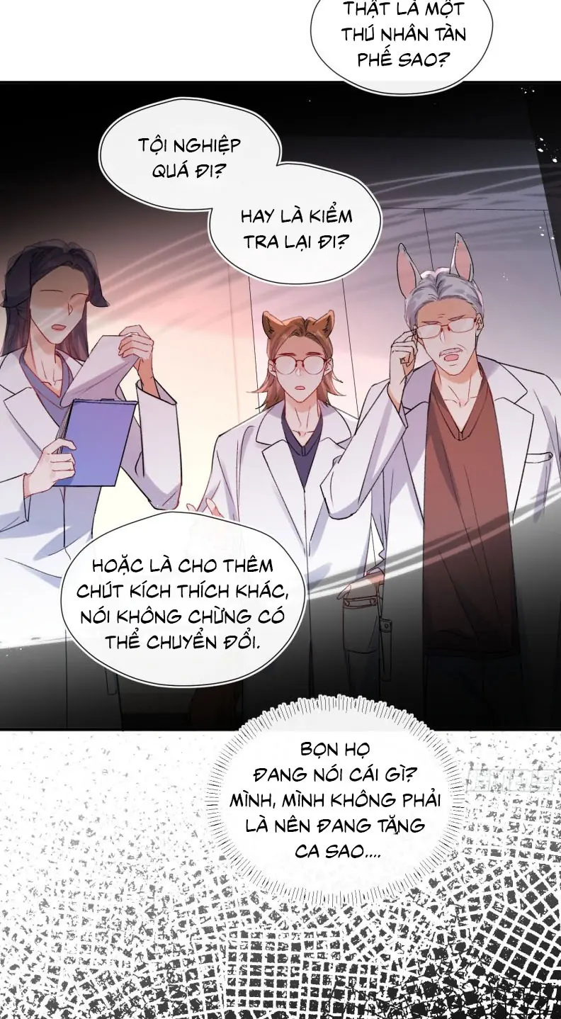 CẢ VŨ TRỤ ĐỀU MUỐN THÂN THIẾT VỚI TÔI Chapter 1 - Trang 16