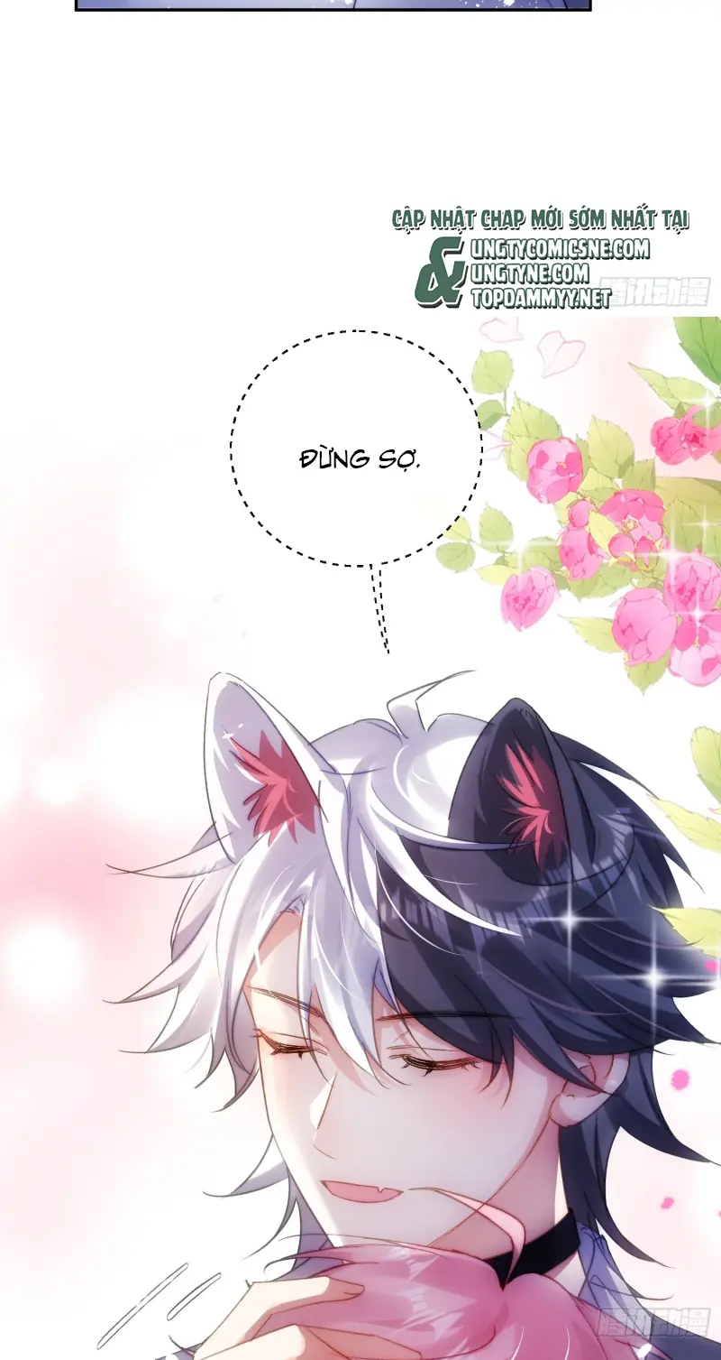 CẢ VŨ TRỤ ĐỀU MUỐN THÂN THIẾT VỚI TÔI Chapter 10 - Trang 42