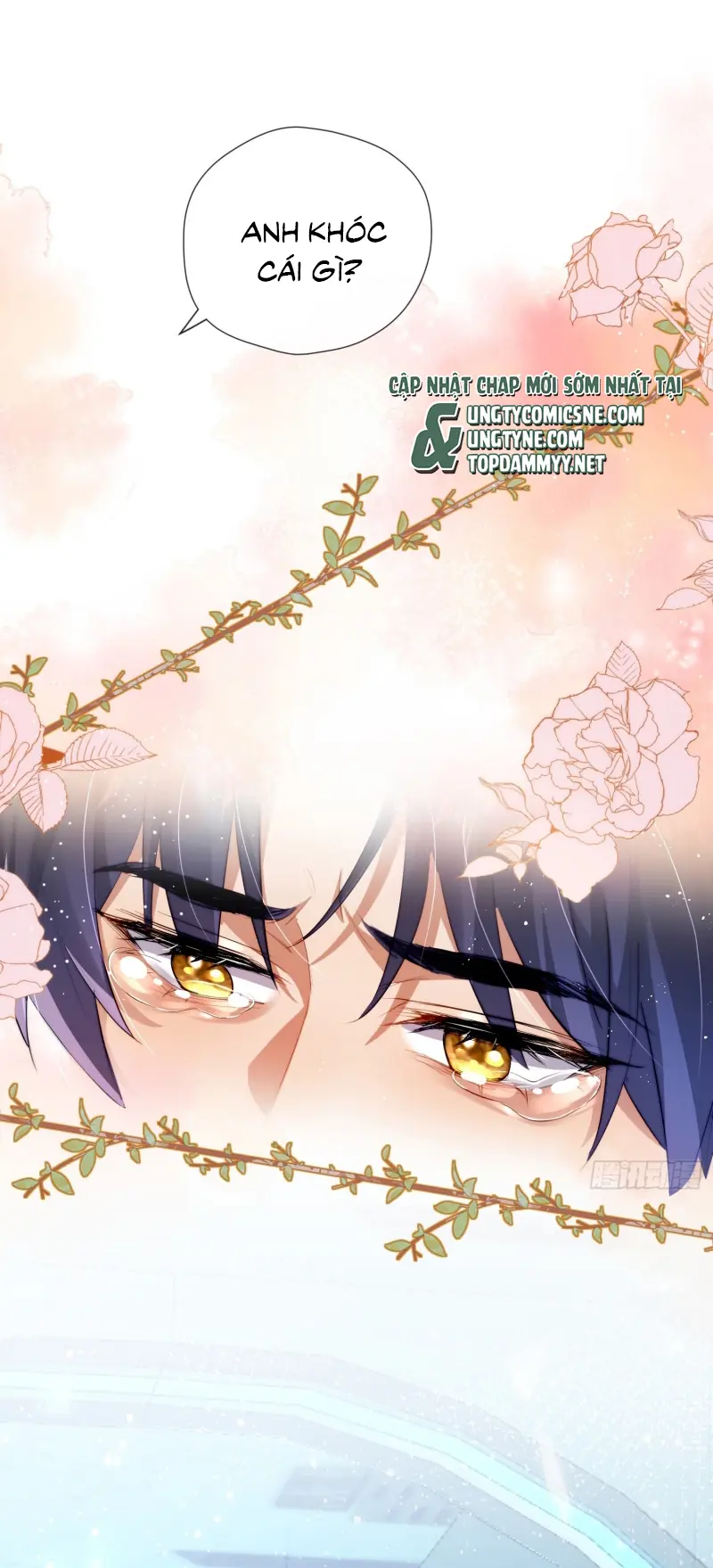 CẢ VŨ TRỤ ĐỀU MUỐN THÂN THIẾT VỚI TÔI Chapter 17 - Trang 4
