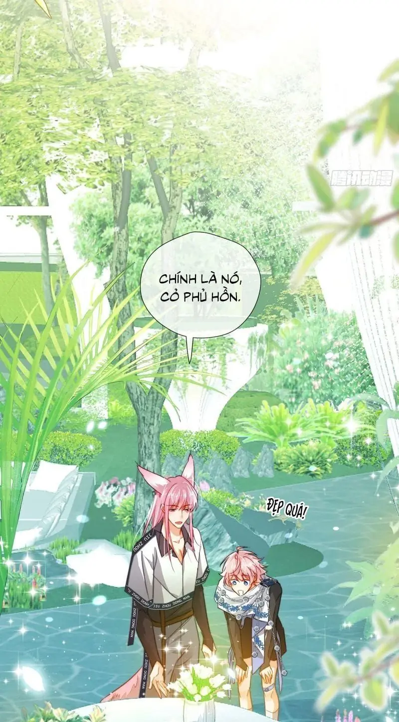 CẢ VŨ TRỤ ĐỀU MUỐN THÂN THIẾT VỚI TÔI Chapter 22 - Trang 16