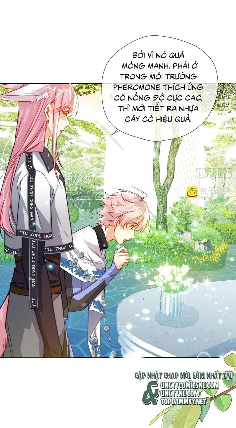CẢ VŨ TRỤ ĐỀU MUỐN THÂN THIẾT VỚI TÔI Chapter 22 - Trang 19