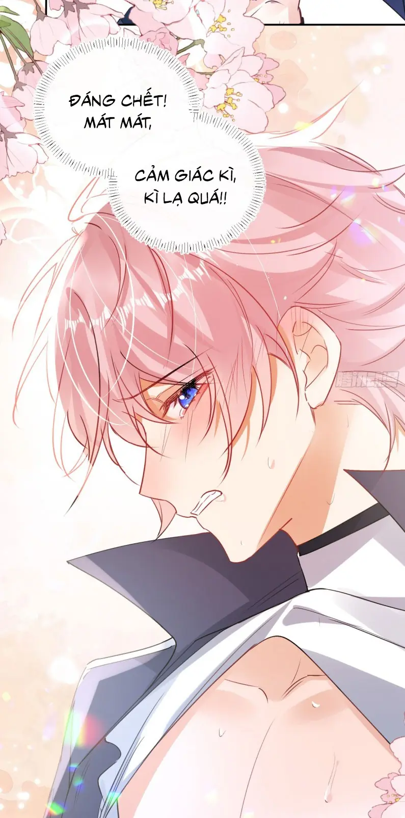 CẢ VŨ TRỤ ĐỀU MUỐN THÂN THIẾT VỚI TÔI Chapter 4 - Trang 40