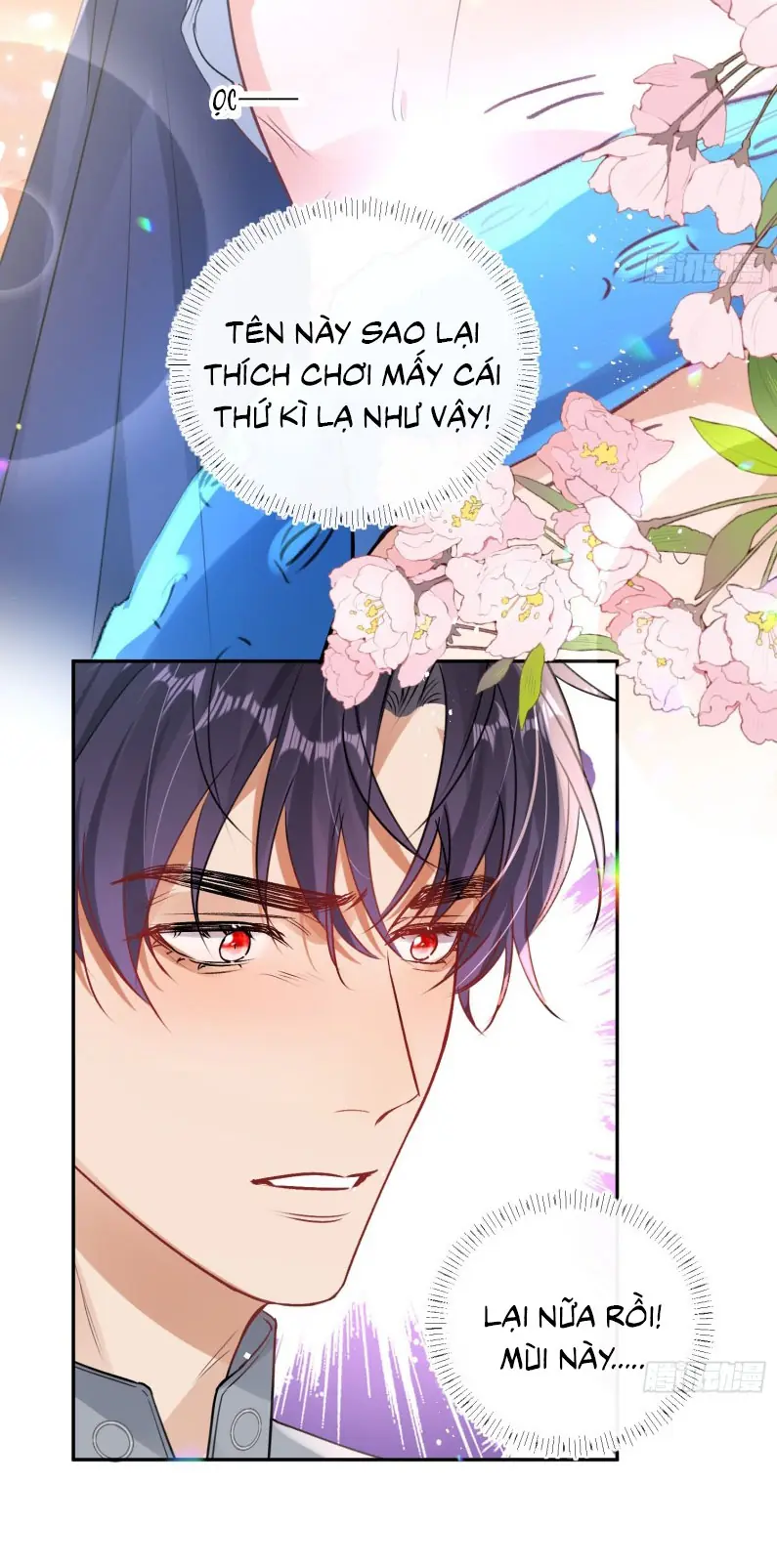 CẢ VŨ TRỤ ĐỀU MUỐN THÂN THIẾT VỚI TÔI Chapter 4 - Trang 41