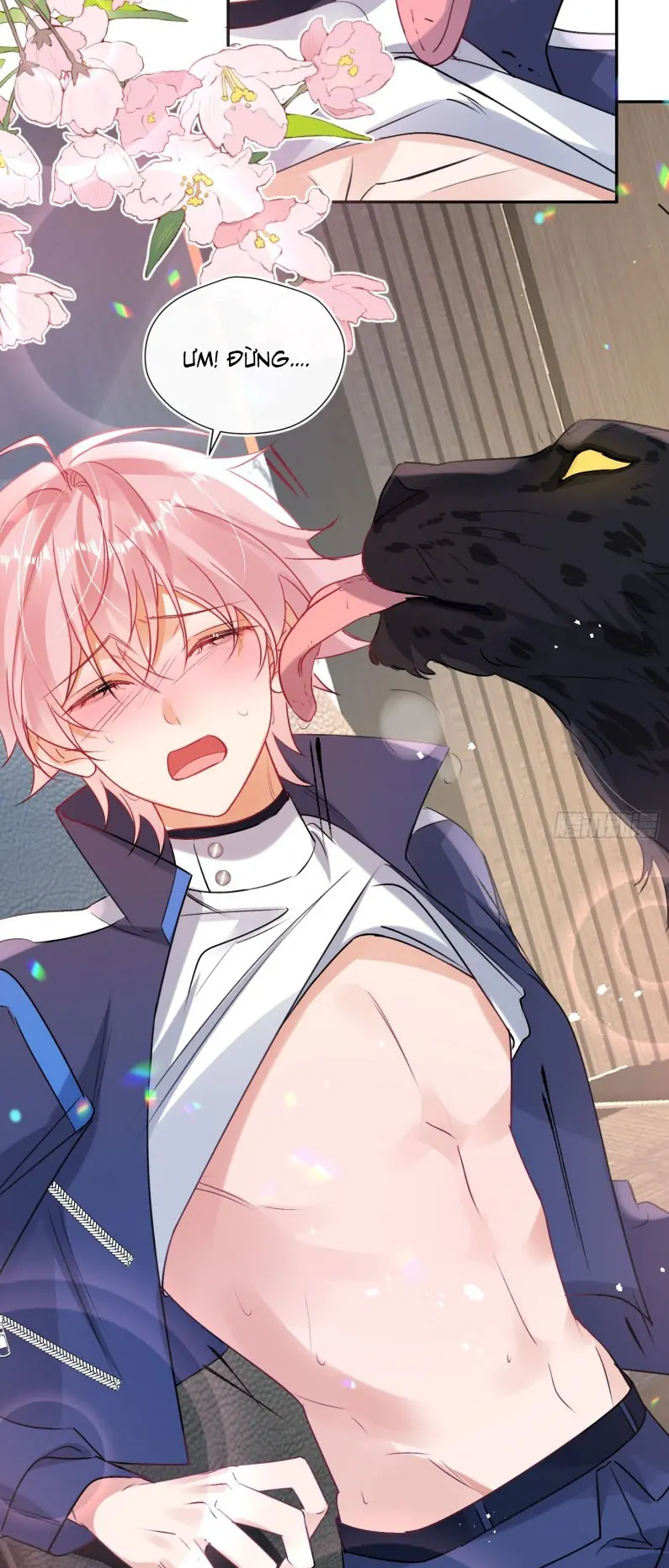 CẢ VŨ TRỤ ĐỀU MUỐN THÂN THIẾT VỚI TÔI Chapter 4 - Trang 47