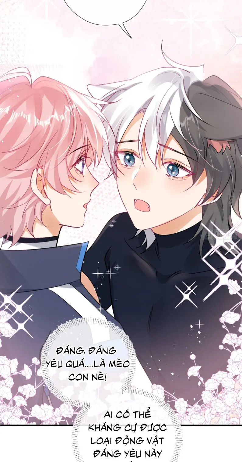 CẢ VŨ TRỤ ĐỀU MUỐN THÂN THIẾT VỚI TÔI Chapter 5 - Trang 44