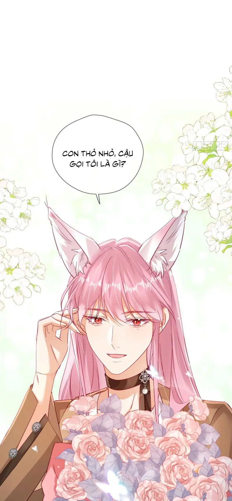 CẢ VŨ TRỤ ĐỀU MUỐN THÂN THIẾT VỚI TÔI Chapter 7 - Trang 11